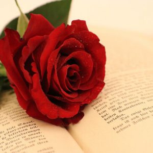 Sant Jordi 5