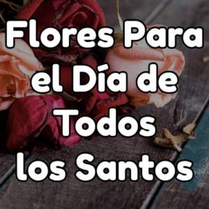 Todos los santos 2