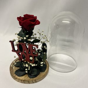 Cúpula Grande I love You